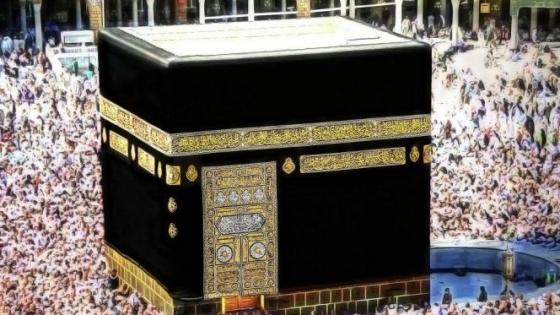 السعودية تصدر أزيد من 4.5 مليون تأشيرة عمرة .