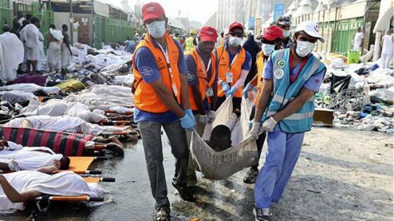 حينما يتحول أداء مناسك الحج إلى همجية فانط‎