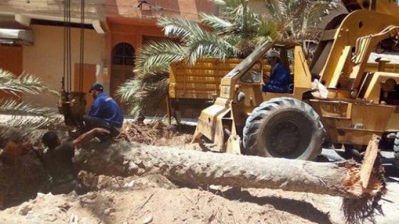تارودانت : العامل يتصدى لقرار ال”بيجيدي” حول اجتثاث النخيل