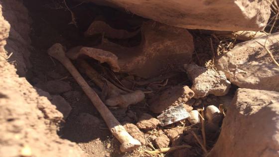 انزكان : خطير جدا …عظام موتى المسلمين تطفو على السطح بمقبرة حي الجرف