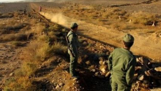 مندوبية الغابات: الانقراض يهدد قرد “الماغو”