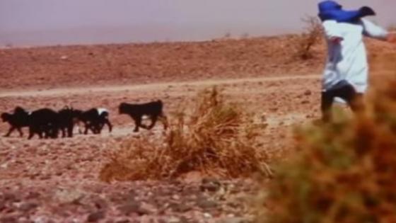 “طاطا تومبوكتو” يرفع “سلاح الثقافة” أمام “لغة البارود” والعنف .