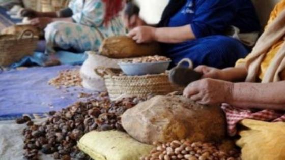 التعاونيات والمقاولات الذاتية تقترب من اقتحام الصفقات العمومية .