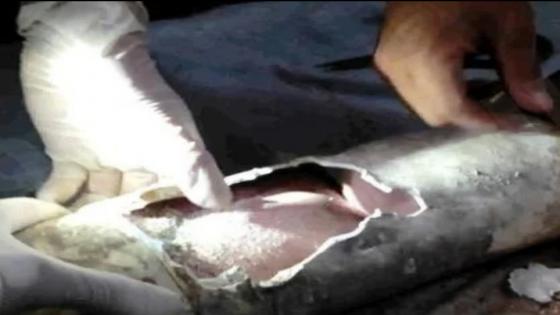 أكادير … إنقاذ طفل صغير سقط في أنبوب قطره 40 سم وطوله 40 متر .