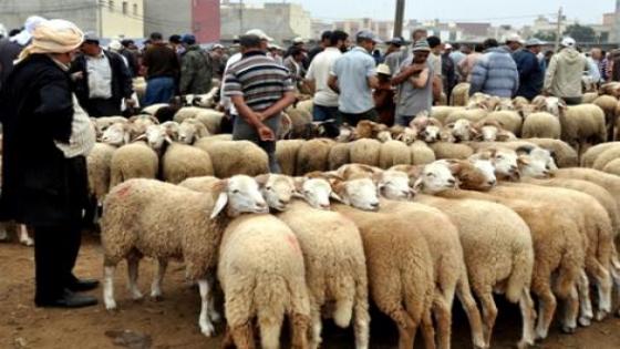 ياربي السلامة “القادم أصعب” .. خطر تفشي “كورونا” يؤرق السلطات خلال العيد.