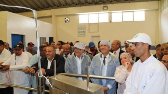 أكادير..صديقي يطلق رقمنة البيع بالمزاد العلني للمنتوجات السمكية .