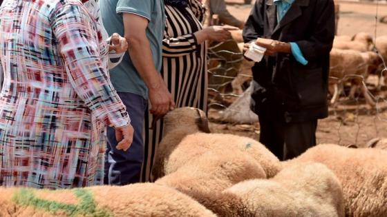 تجدد إشكالية “الكاش” في عيد الأضحى يستنفر الفاعلين الاقتصادين المغاربة .