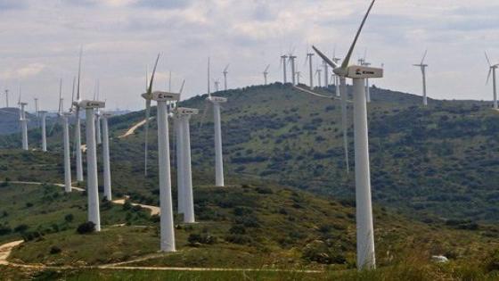الطاقة الريحية المغربية تتجاوز عتبة 1000 ميغاوات