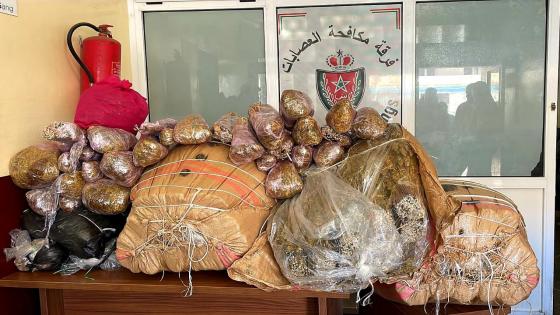 أكادير…حجز 105 كلغ من سنابل القنب الهندي و 15 كلغ من مسحوق التبغ المهرب.