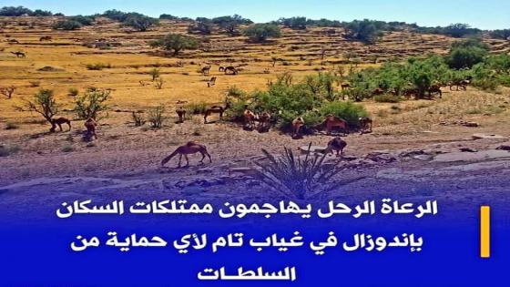 القطب الحقوقي بإقليم تارودانت يصدر بيانا ضد الرعي الجائر و يدين الاعتداءات على المناطق الواقعة بدائرة اغرم.