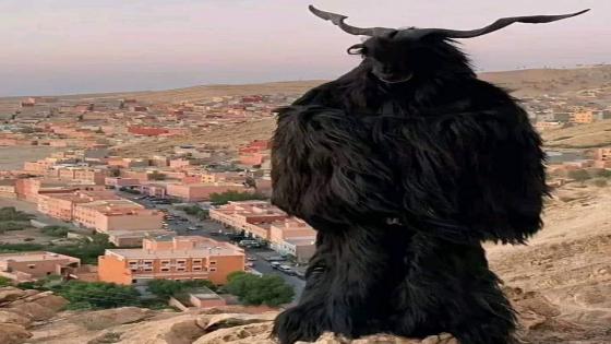 احتفالات بوجلود : تراث ثقافي وكرنفال شعبي في جهة سوس.