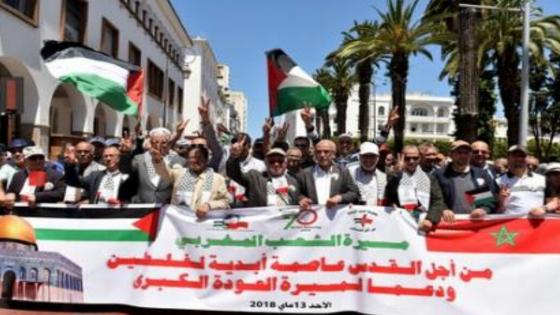 في “ذكرى النكبة” .. محتجون يناصرون فلسطين ويهاجمون ترامب