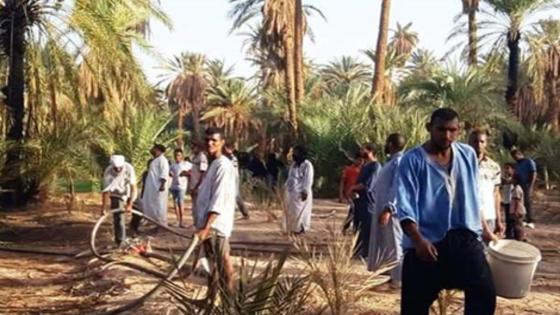 حريق مهول يلتهم أشجار نخيل بطاطا.. والنيران تكبد خسائر للفلاحين.