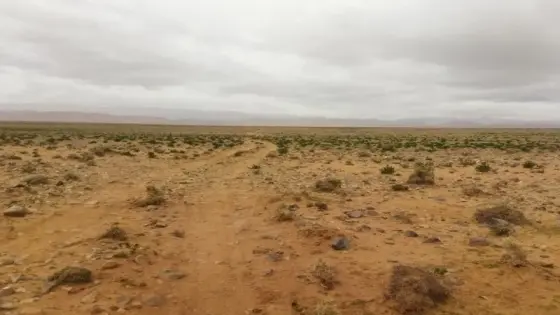 الداخلية تحصن أراضي الجموع ضد السطو!!.