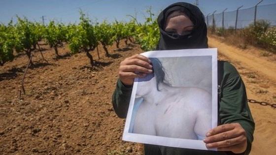 ملف عاملات “الفرولة” باسبانيا تدخل منعطفا جديدا