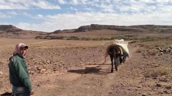 الفقر والعزلة يخنقان شرايين الحياة في قبائل ضواحي ورزازات