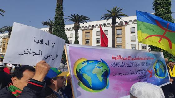 برلماني عن دائرة كلميم يساءل وزير الداخلية عن الاعتداءات التي يتعرض لها الرحل والكسابة .