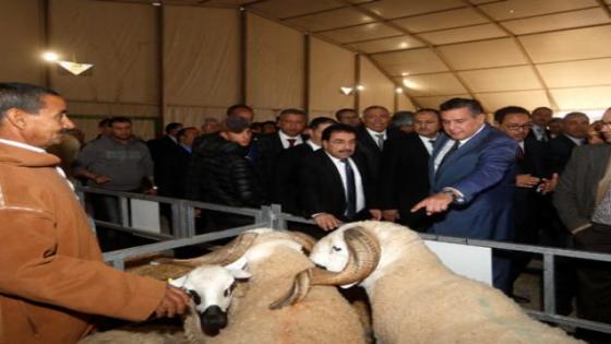 بعد أشهر على عيد الأضحى.. هذه أعداد “الصردي” .