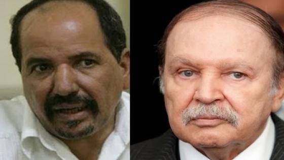 برلماني أوربي يكشف دور الجزائر في إيواء وتمويل الإرهاب الدولي