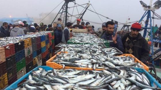 من أكادير أخنوش : الإنتاج البحري في 2018 بلغ 83 في المئة من الهدف المحدد .