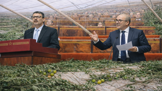 النائب البرلماني الحسين أزوكاغ يراسل وزير الفلاحة بشأن تداعيات العاصفة على فلاحي اشتوكة آيت باها.