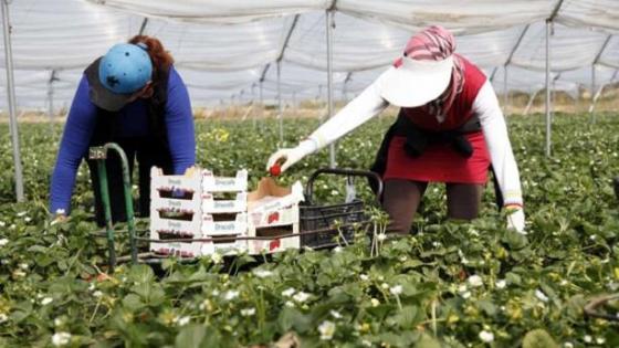 يتيم يطمئن عائلات العاملات المغربيات بإسبانيا..حدث تضخيم كبير للموضوع