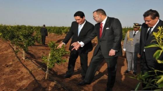 أديس ابابا .. العثماني يؤكد استعداد المغرب لتقاسم تجريته في المجال الفلاحي مع الدول الإفريقية .