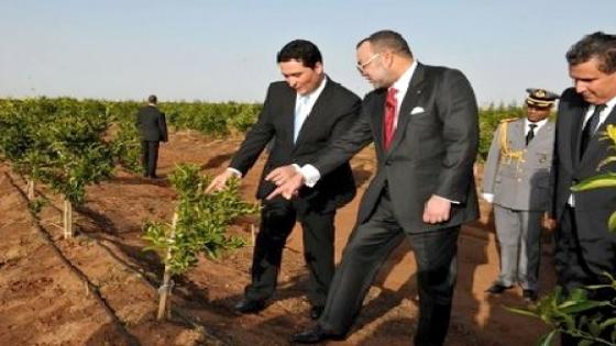 المغرب وفرنسا يعتزمان تعزيز تعاونهما في المجال الفلاحي
