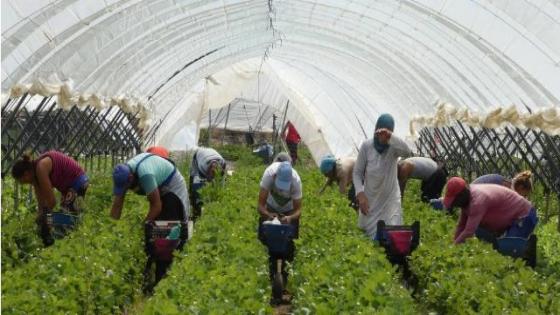 إسبانيا : مسيرة تضامنية مع عاملات مغربيات تعرضن لتحرش جنسي حقوقهم