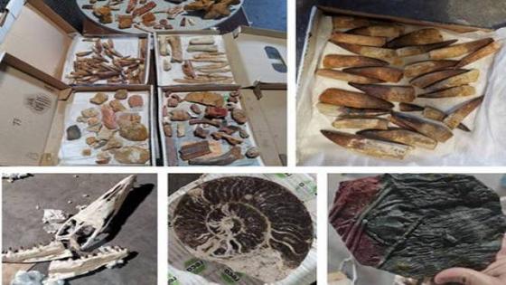 إحباط محاولة تصدير غير مشروع لحوالي 200 كيلوغرام من القطع الجيولوجية.