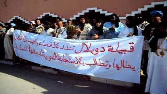 طاطا: قرارات وكالة الحوض المائي لواد نون ورئيس جماعة أم الكردان تغضب قبيلة دوبلال