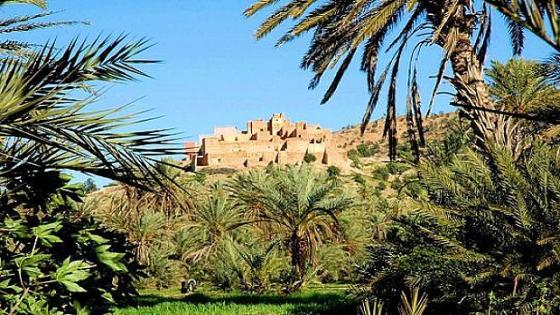 تارودانت : بناء عشوائي بواحة تيوت السياحية في أوج تفشي فيروس كورونا.