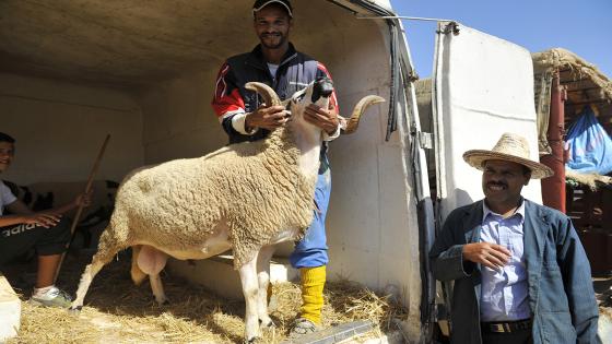 جولة في الأسواق قبل العيد.. “الحولي مادايرش الكرون هاد العام”‎