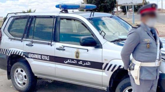 تيزنيت : ضبط شحنات من “الأسماك ومواد التجميل” مهربة بشاحنات للإرساليات.