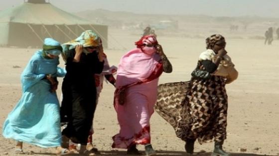 مركز تفكير كولومبي يقدم شهادة صادمة عن الانتهاكات الجسيمة بتندوف