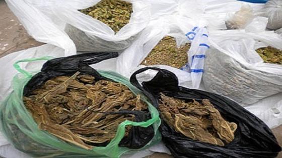 تارودانت: حملات أمنية واسعة للمركز القضائي ضد أحد أكبر مروجي المخدرات بضواحي الكردان