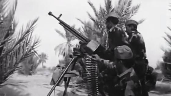البوليساريو مستفزة والمملكة صارمة .. هل تندلع الحرب بالصحراء؟