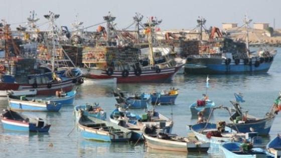 أليوتيس.. توقيع شراكة بين شركتين لتحديث أسطول الصيد التقليدي .